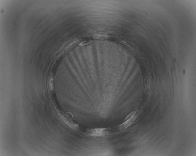 X0000084520090200703091613