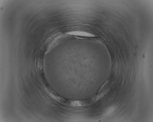 X0000084520091200703091613