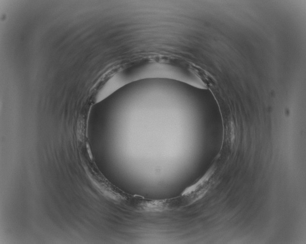 X0000084520092200703091613