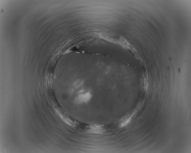 X0000084520093200703091613