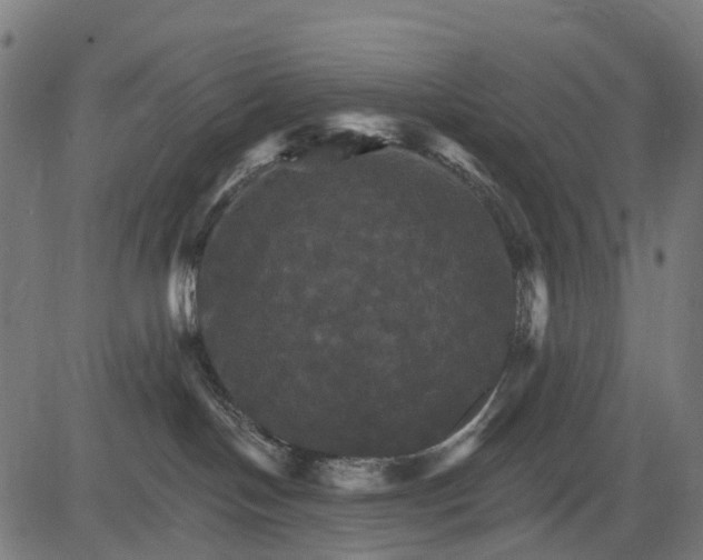 X0000084520094200703091613