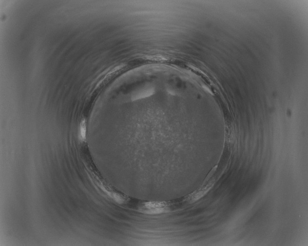 X0000084520095200703091613