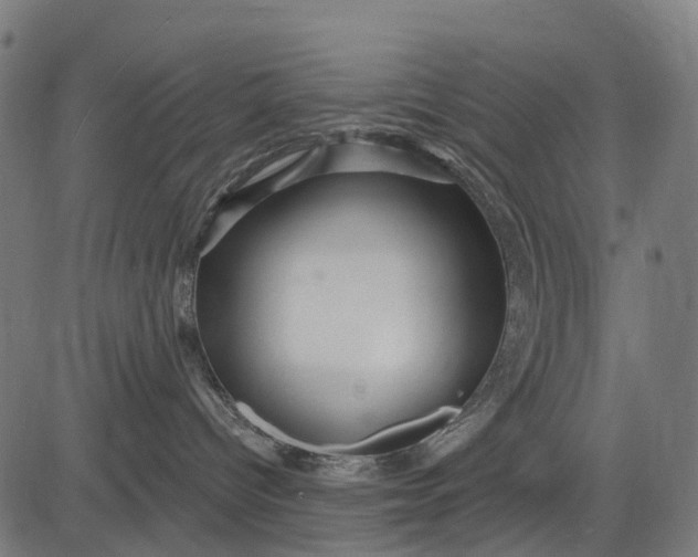 X0000084520096200703091613