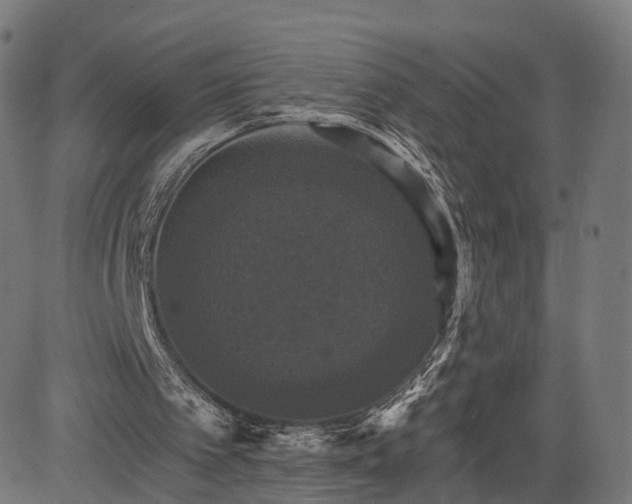 X0000084520097200703091612