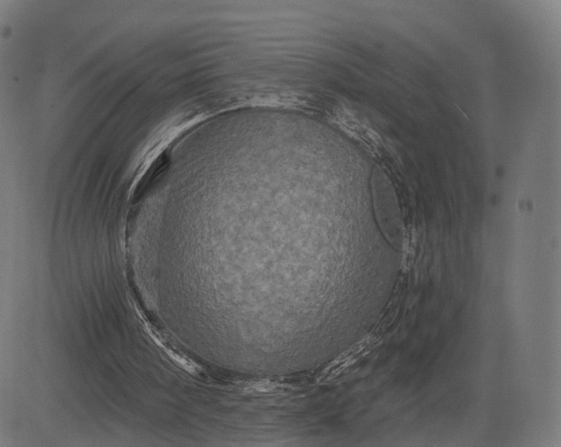 X0000084520098200703091612