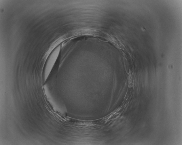 X0000084520099200703091612