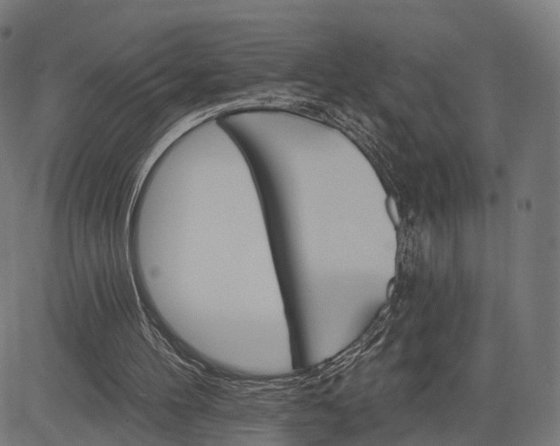 X0000084520100200703091612