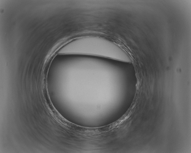 X0000084520101200703091612