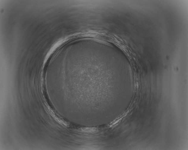 X0000084520102200703091612