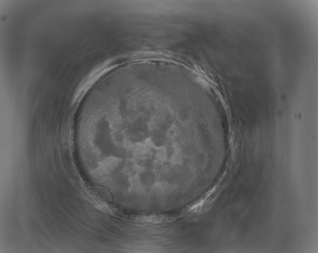 X0000084520103200703091612