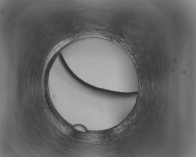 X0000084520104200703091612