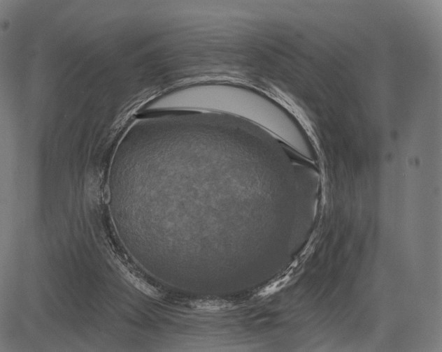 X0000084520105200703091612