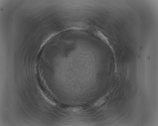 X0000084520106200703091612