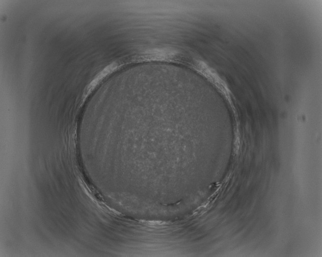 X0000084520107200703091612