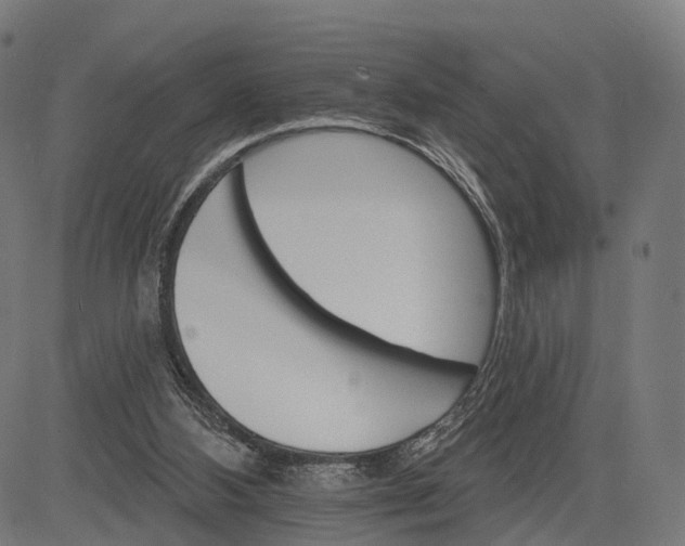 X0000084520108200703091612