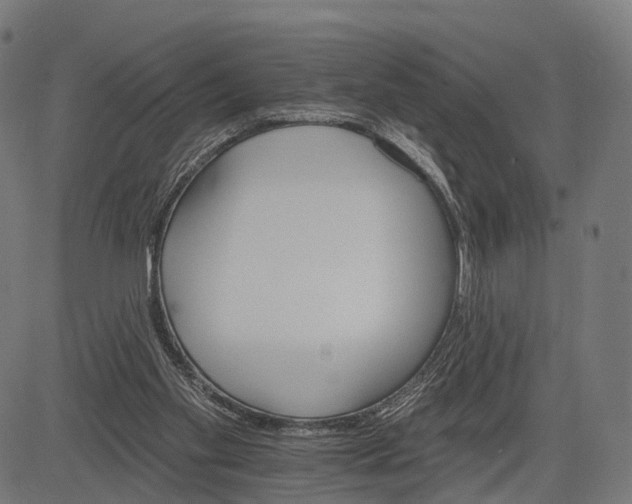 X0000084520109200703091612