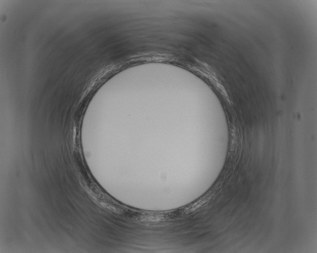 X0000084520110200703091612