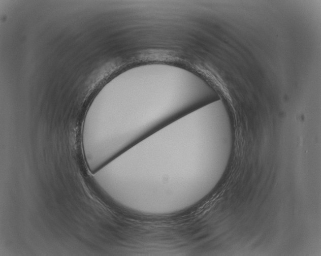 X0000084520111200703091612