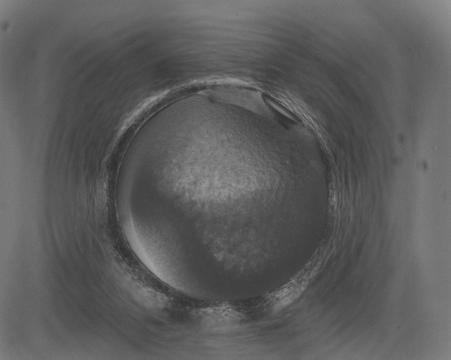 X0000084520112200703091612