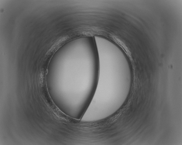 X0000084520113200703091612