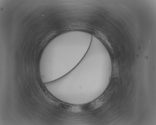 X0000084520114200703091612