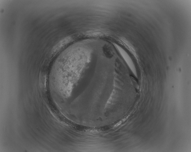 X0000084520115200703091612