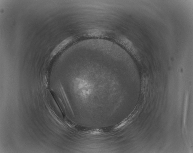 X0000084520116200703091612