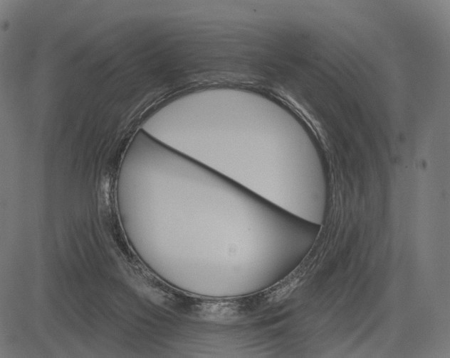 X0000084520117200703091612