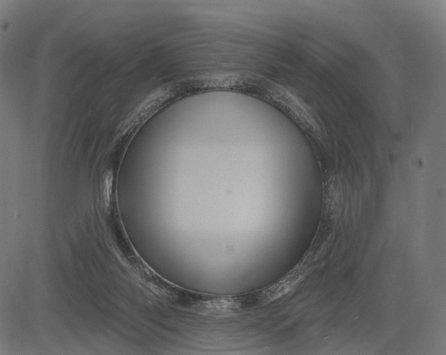 X0000084520118200703091612