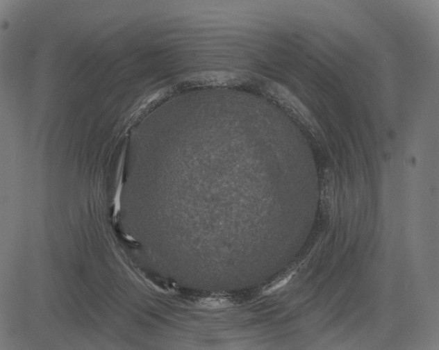 X0000084520119200703091612