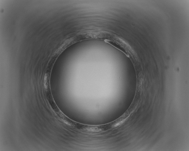 X0000084520121200703091612