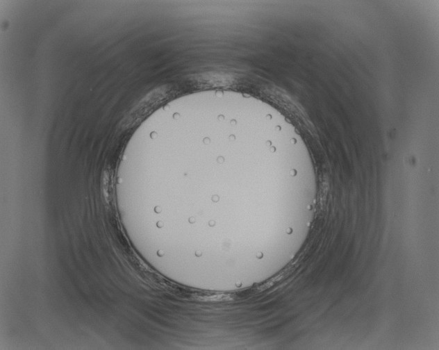 X0000084520122200703091612