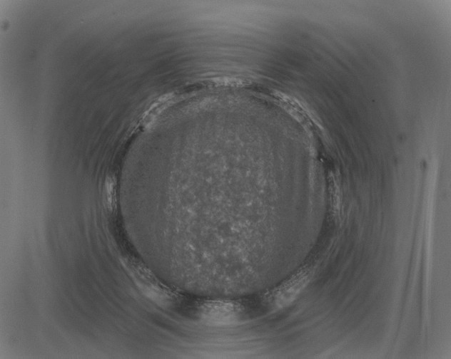 X0000084520123200703091612