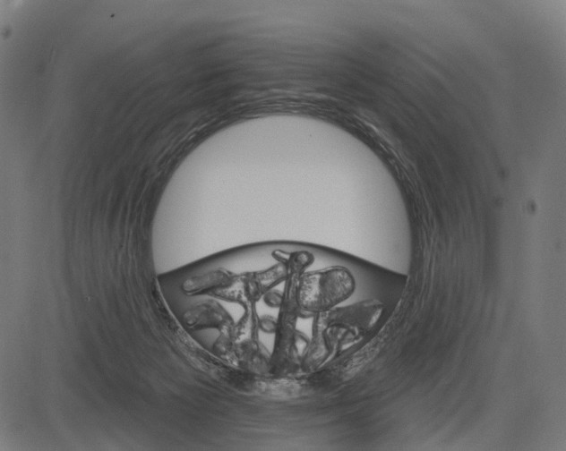 X0000084520125200703091612