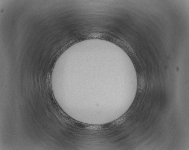 X0000084520126200703091612