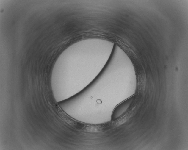 X0000084520127200703091612