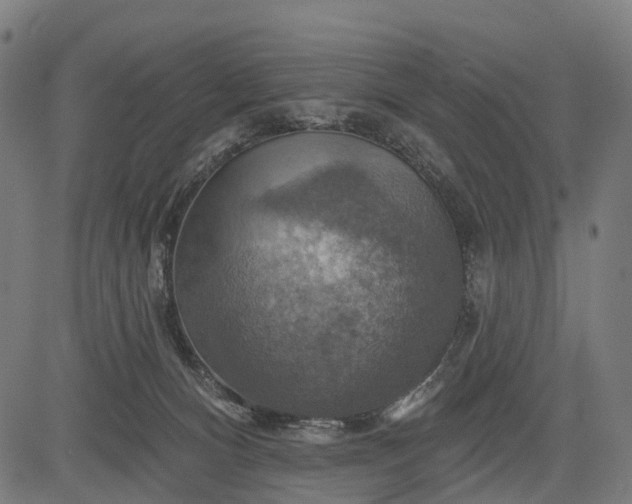 X0000084520128200703091612