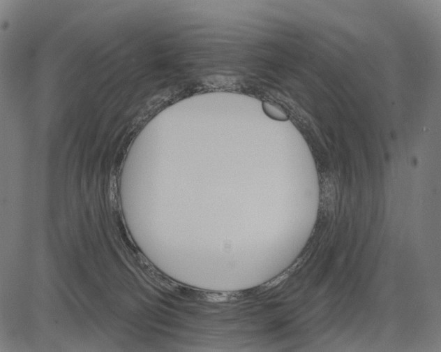 X0000084520130200703091612