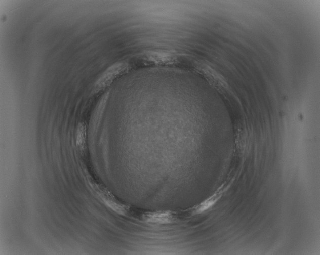 X0000084520132200703091612