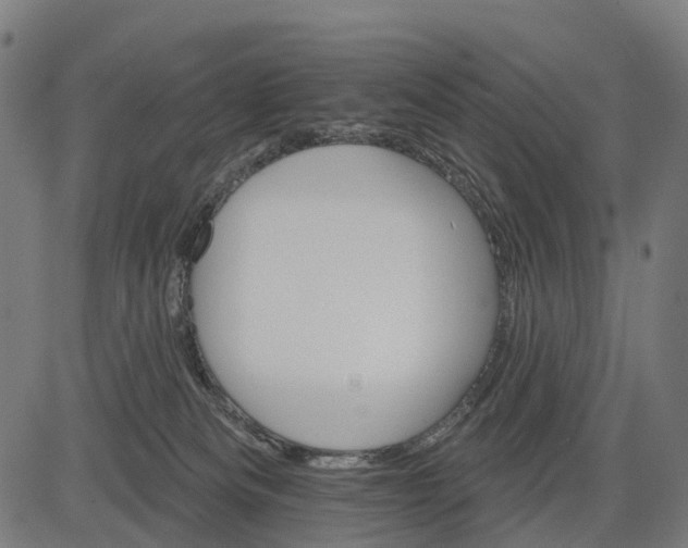 X0000084520133200703091612