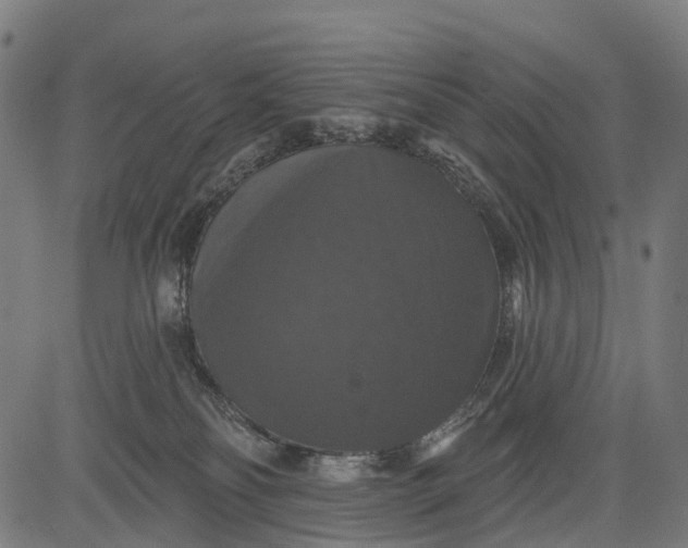 X0000084520134200703091612