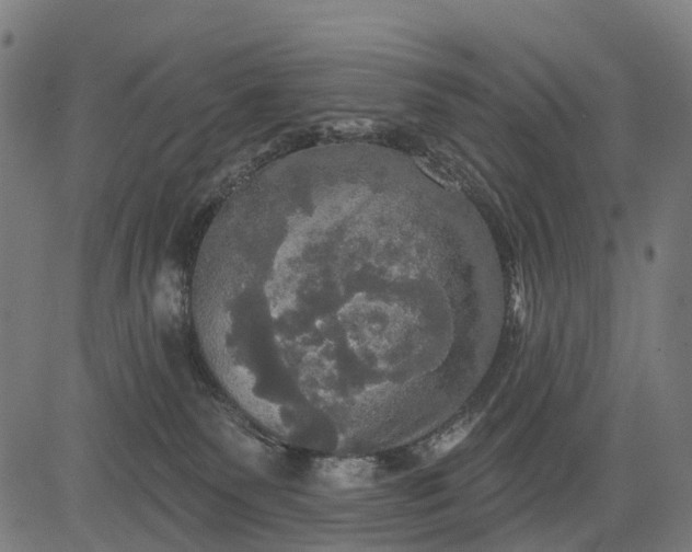 X0000084520135200703091612