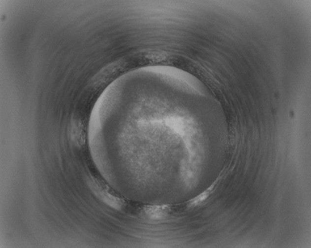 X0000084520136200703091612