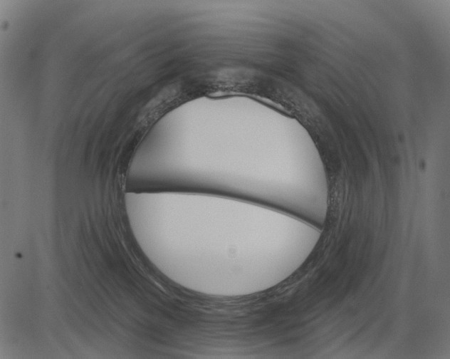 X0000084520137200703091612