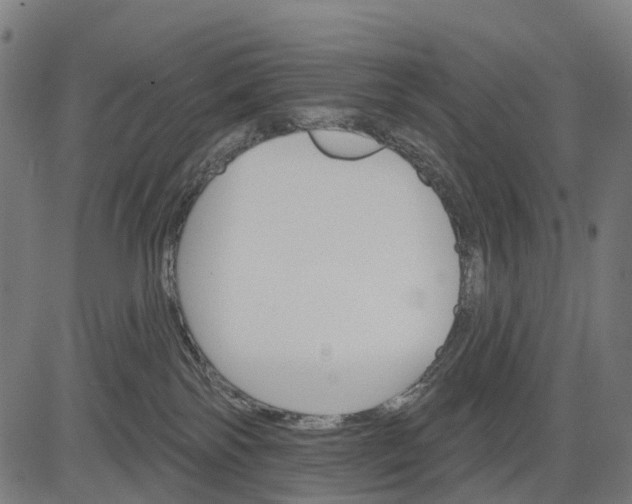 X0000084520138200703091612