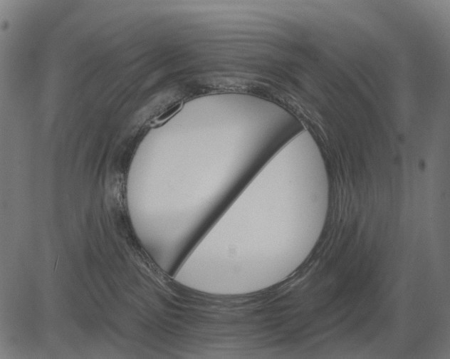 X0000084520141200703091612