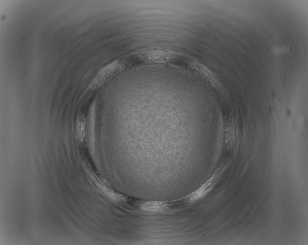 X0000084520142200703091612