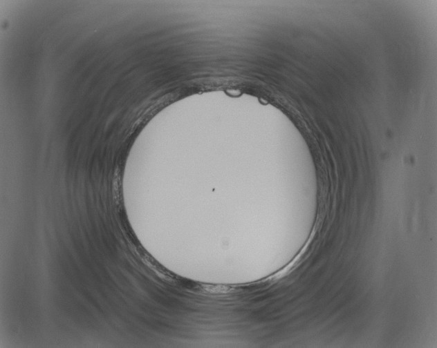 X0000084520144200703091612