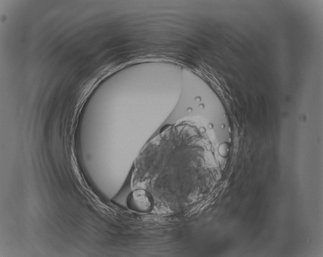 X0000084520145200703091611