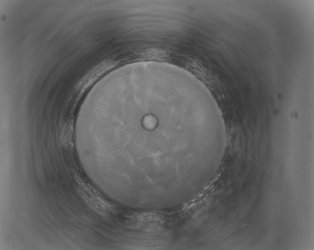 X0000084520146200703091611